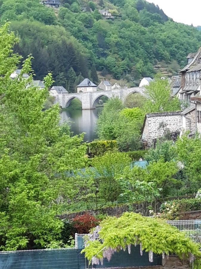 Avec Vue Panoramique Sur La Truyere Appartement Entraygues-sur-Truyère