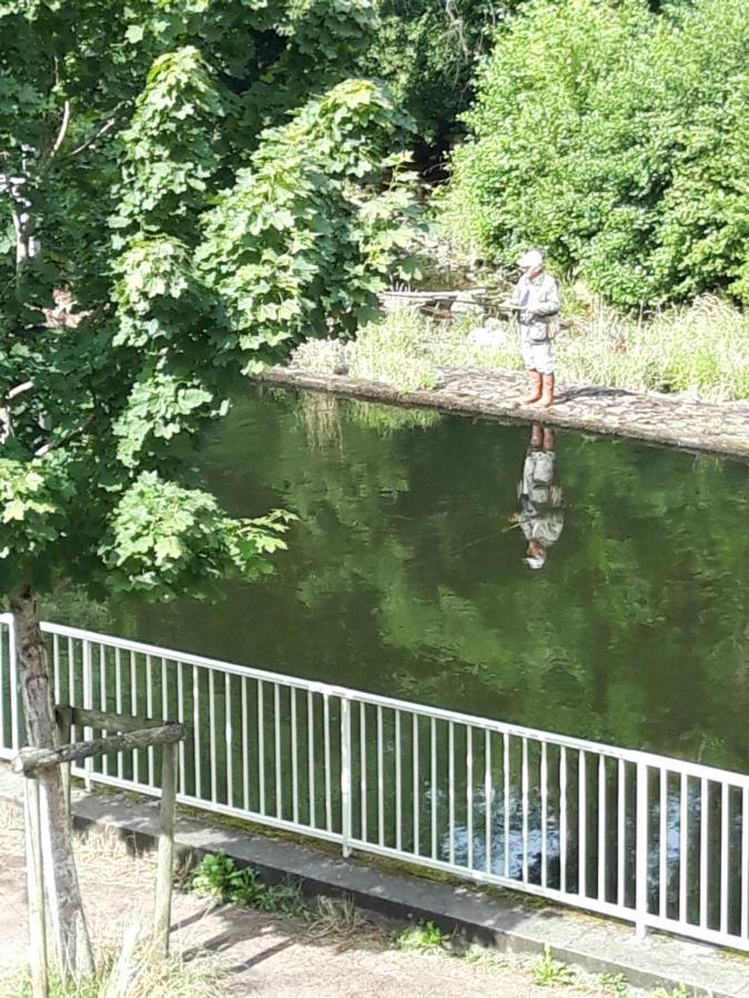 Appartement Avec Vue Panoramique Sur La Truyere Entraygues-sur-Truyère