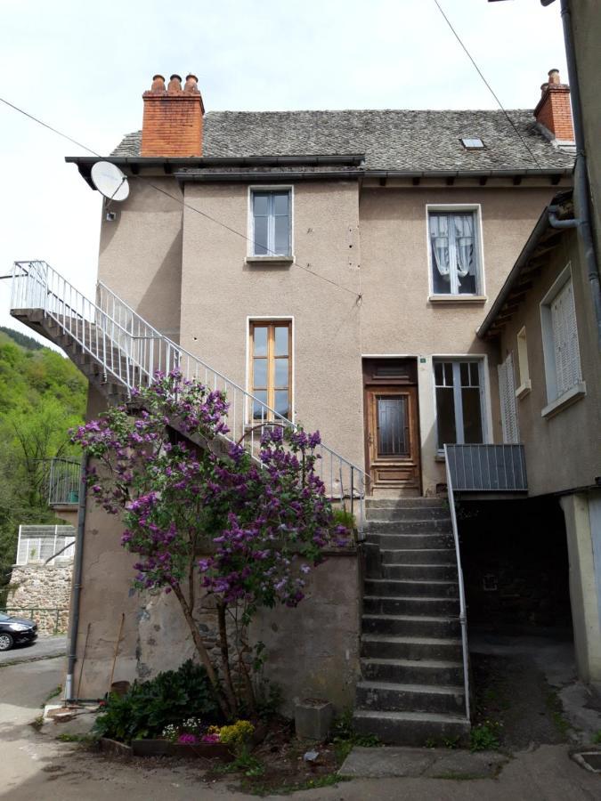 Avec Vue Panoramique Sur La Truyere Entraygues-sur-Truyère